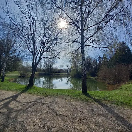 Campsite Mobilhome Europa Park *
